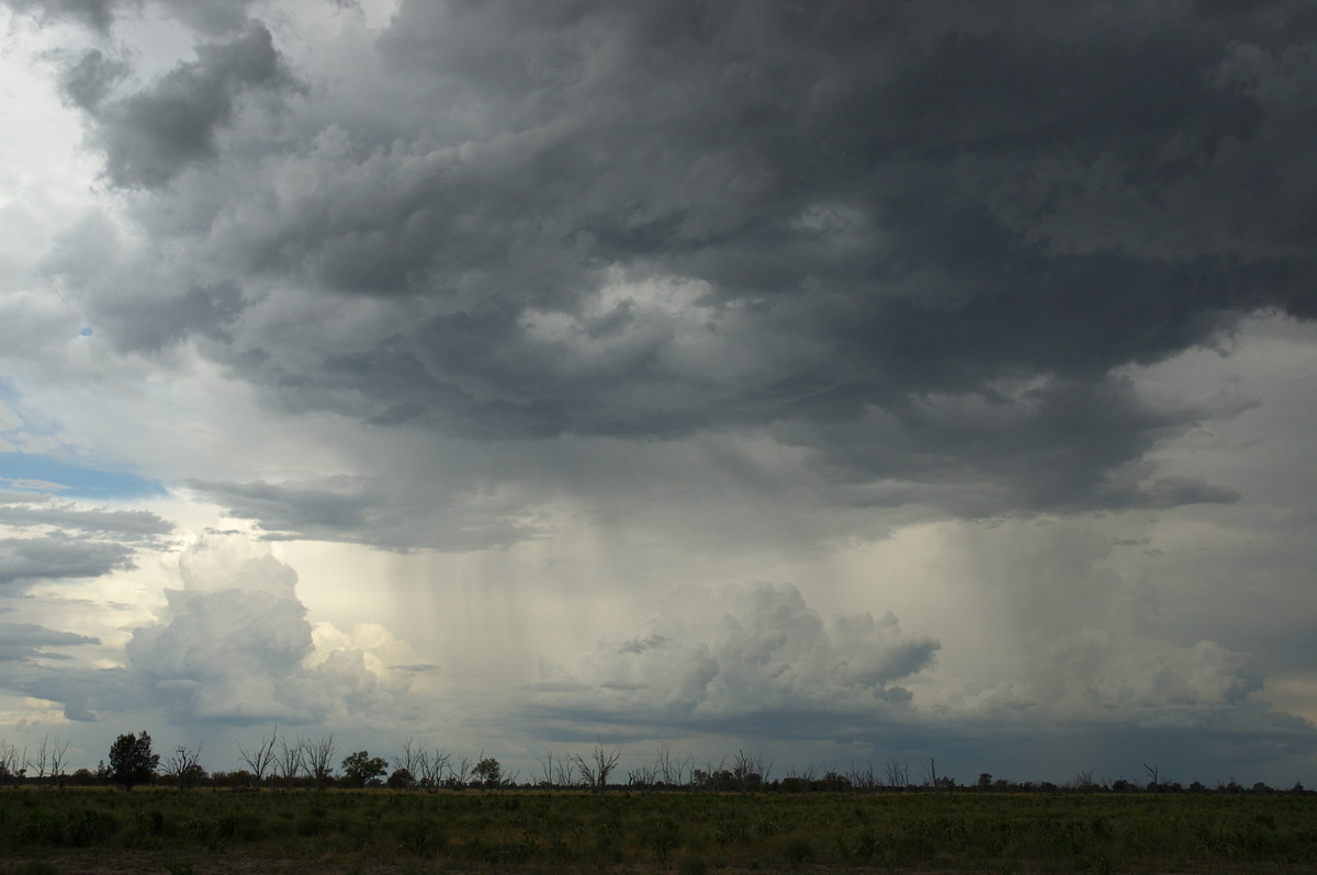 cumulonimbus thunderstorm_base : near Boomi, NSW   9 December 2007