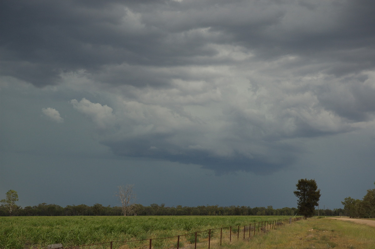 cumulonimbus thunderstorm_base : near Boomi, NSW   9 December 2007