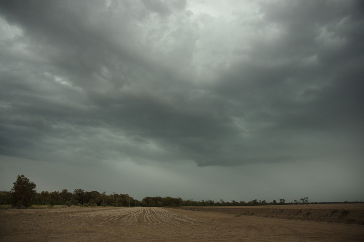 cumulonimbus thunderstorm_base : near Boomi, NSW   9 December 2007