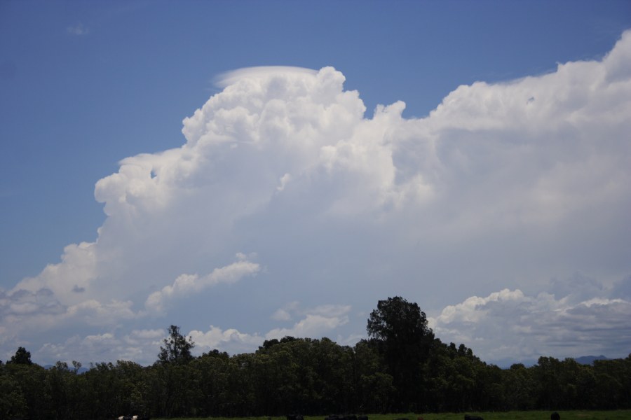 pileus pileus_cap_cloud : near Taree, NSW   10 December 2007