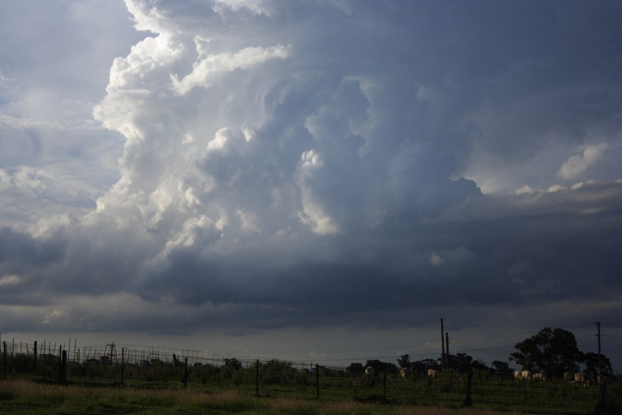 updraft thunderstorm_updrafts : Schofields, NSW   27 December 2007