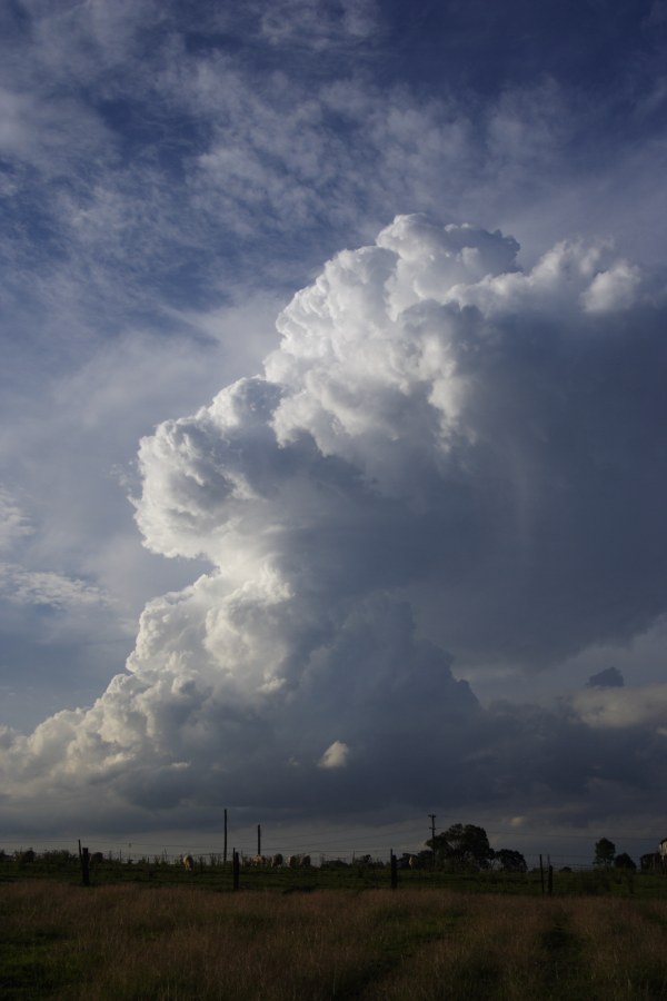 updraft thunderstorm_updrafts : Schofields, NSW   27 December 2007