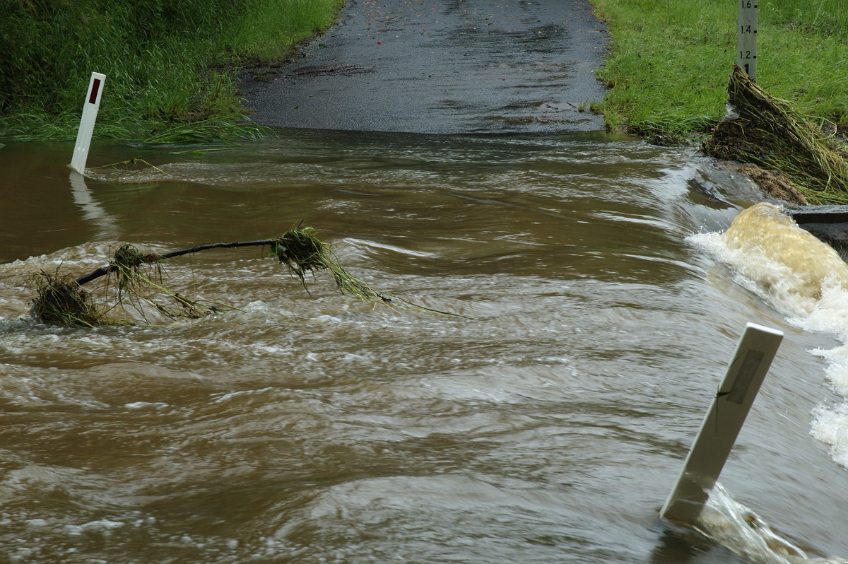 flashflooding flood_pictures : Booyong, NSW   4 January 2008