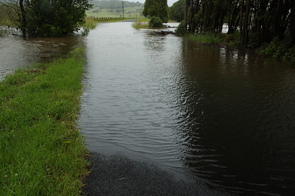 flashflooding flood_pictures : Eltham, NSW   4 January 2008