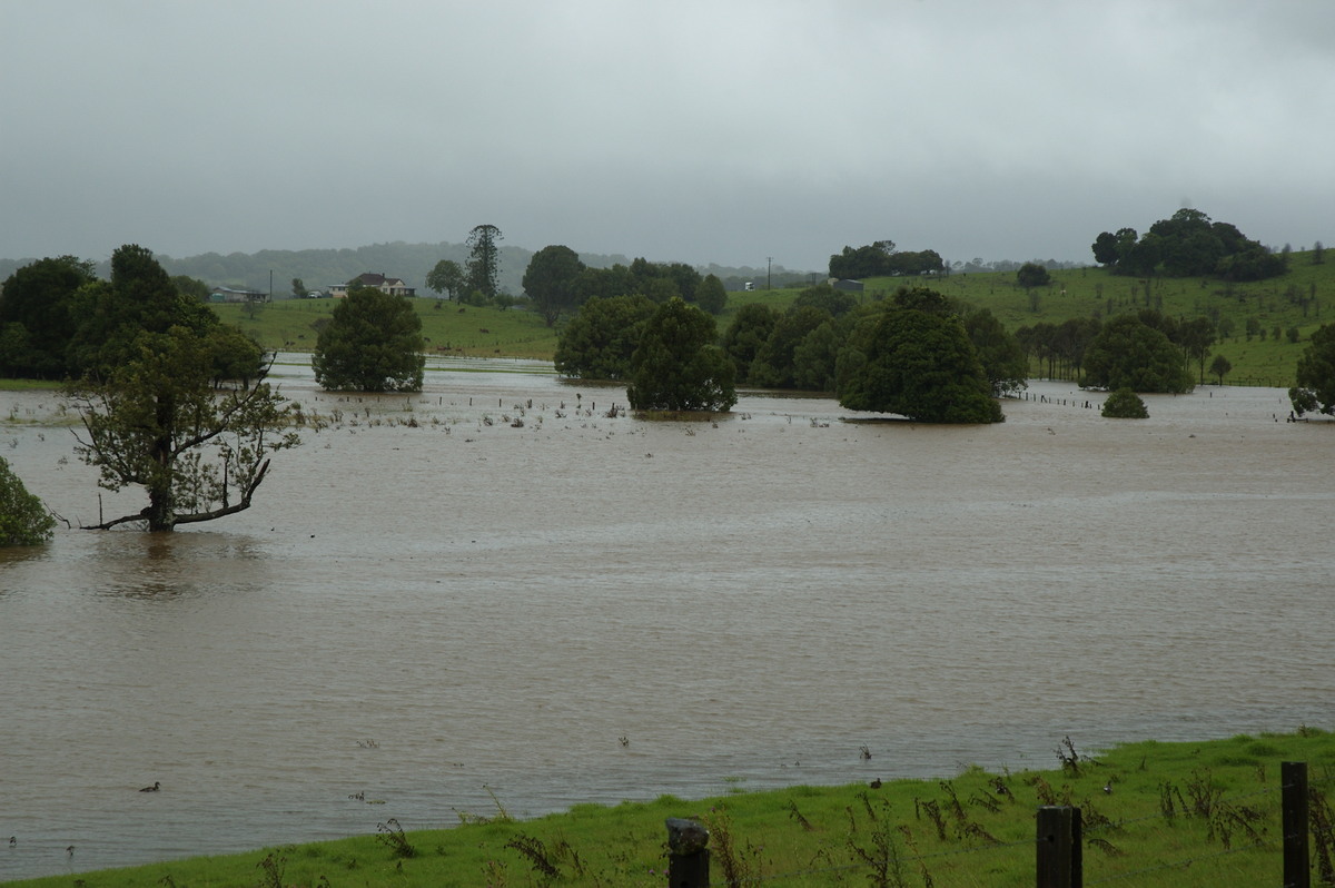 flashflooding flood_pictures : Eltham, NSW   4 January 2008