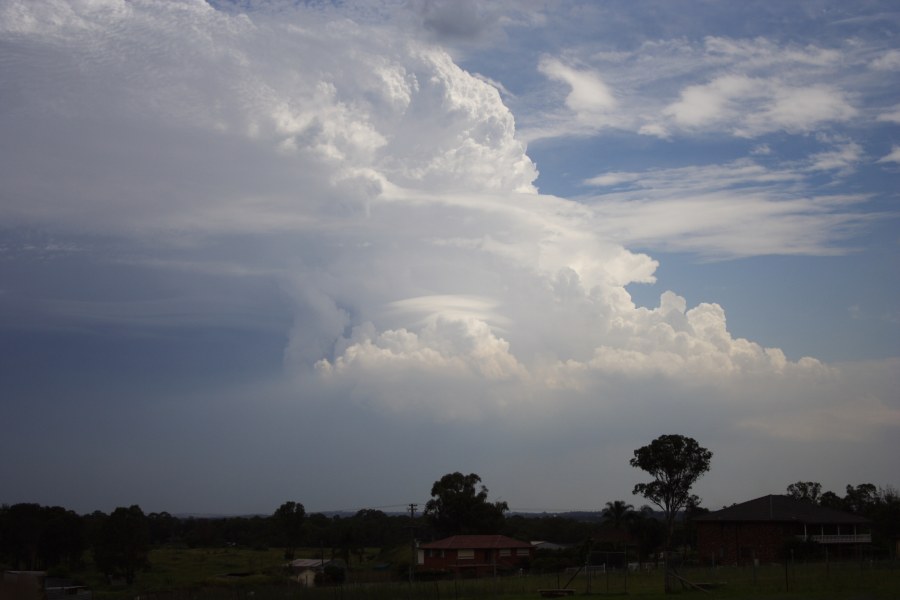 updraft thunderstorm_updrafts : Schofields, NSW   16 January 2008