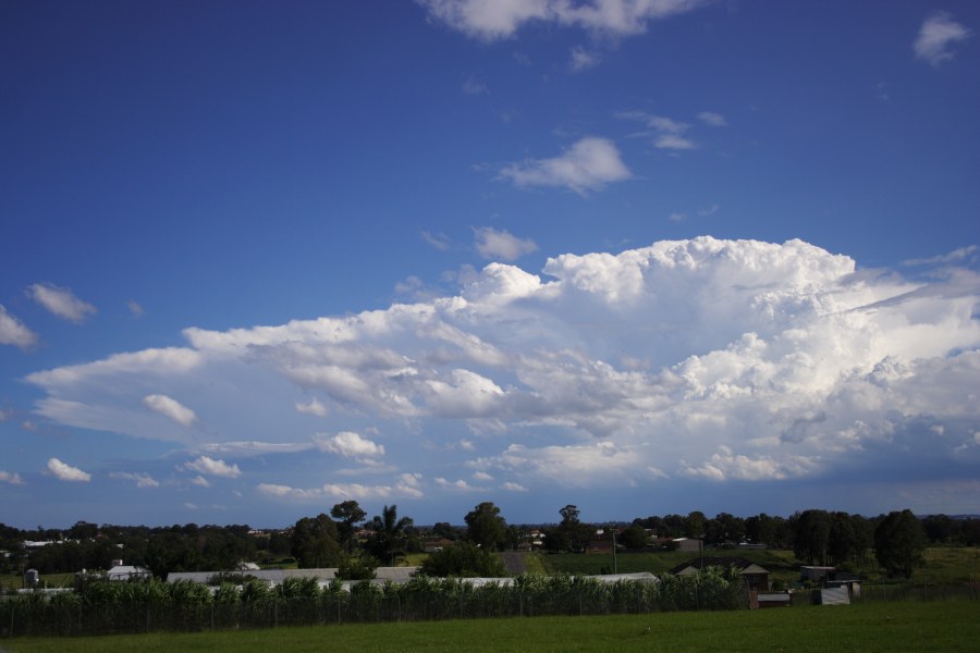 updraft thunderstorm_updrafts : Schofields, NSW   20 January 2008