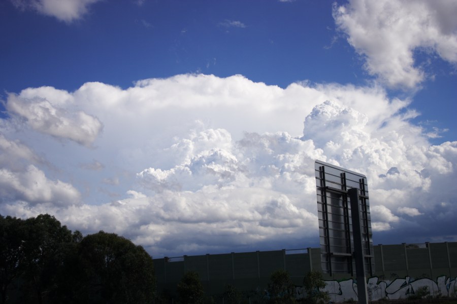 updraft thunderstorm_updrafts : M4 Motorway, Prospect, NSW   20 January 2008