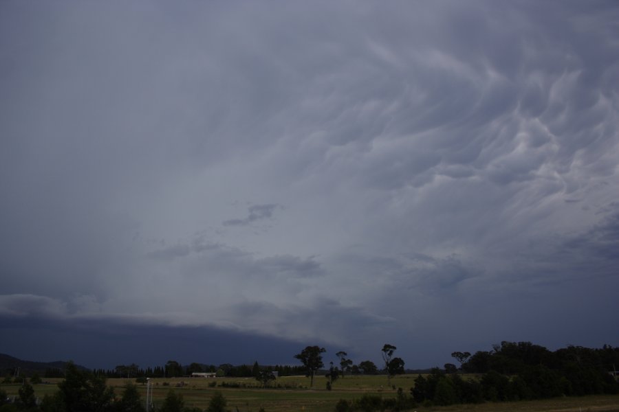 mammatus mammatus_cloud : Mittagong, NSW   30 January 2008