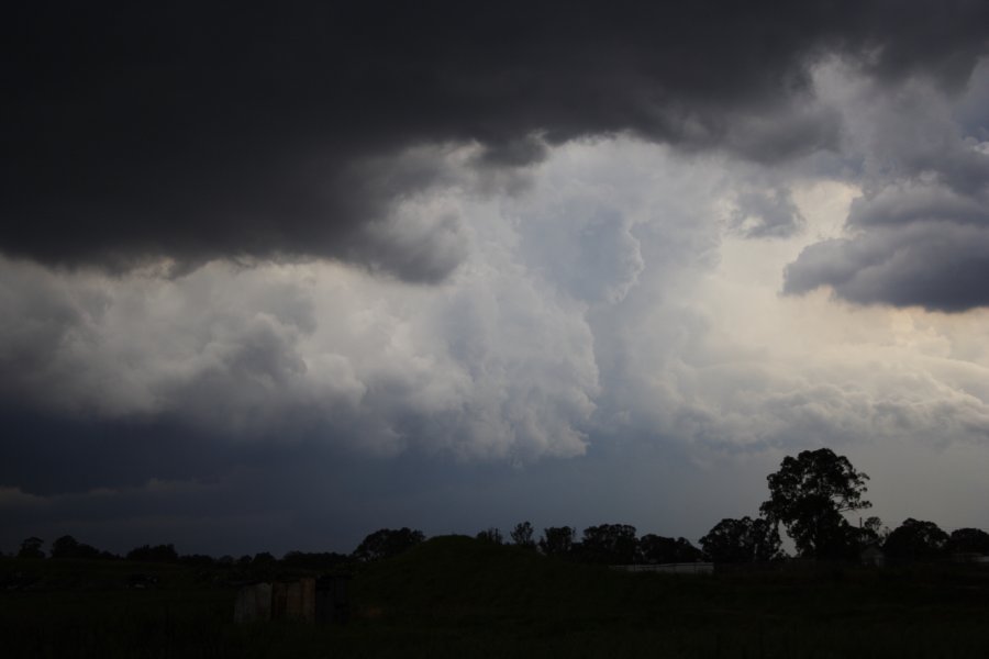 updraft thunderstorm_updrafts : Schofields, NSW   31 January 2008