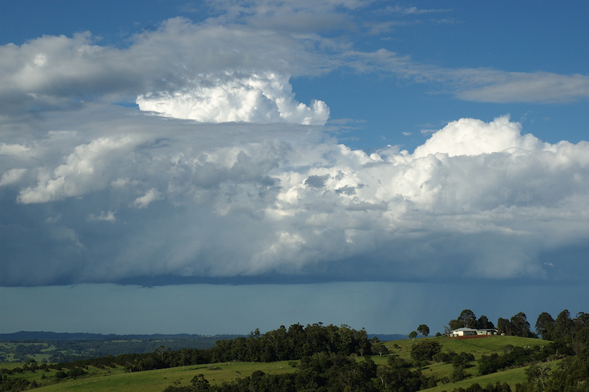 cumulus congestus : McLeans Ridges, NSW   7 February 2008