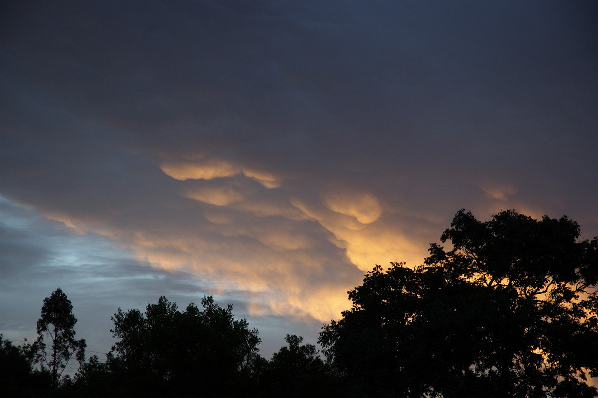 mammatus mammatus_cloud : McLeans Ridges, NSW   10 February 2008