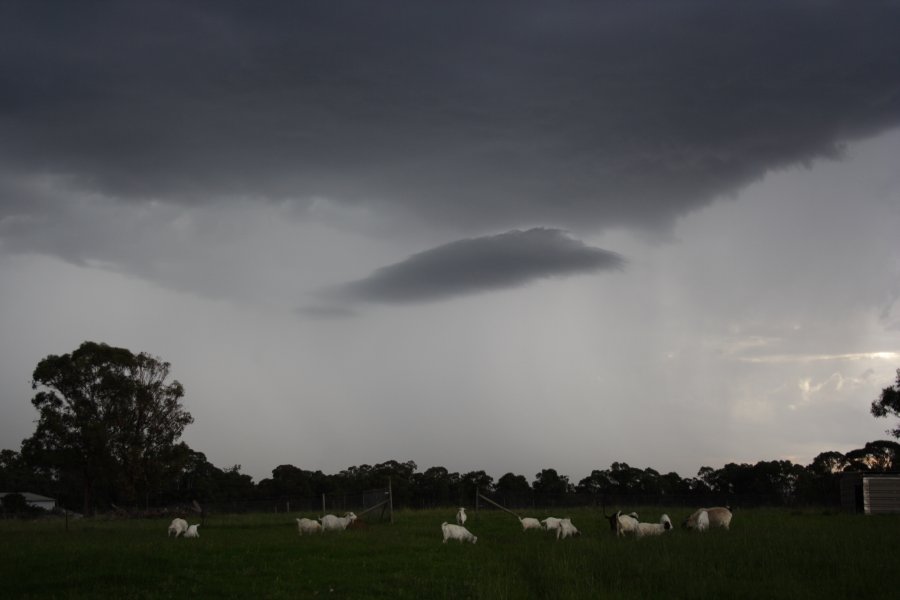 raincascade precipitation_cascade : Schofields, NSW   27 February 2008