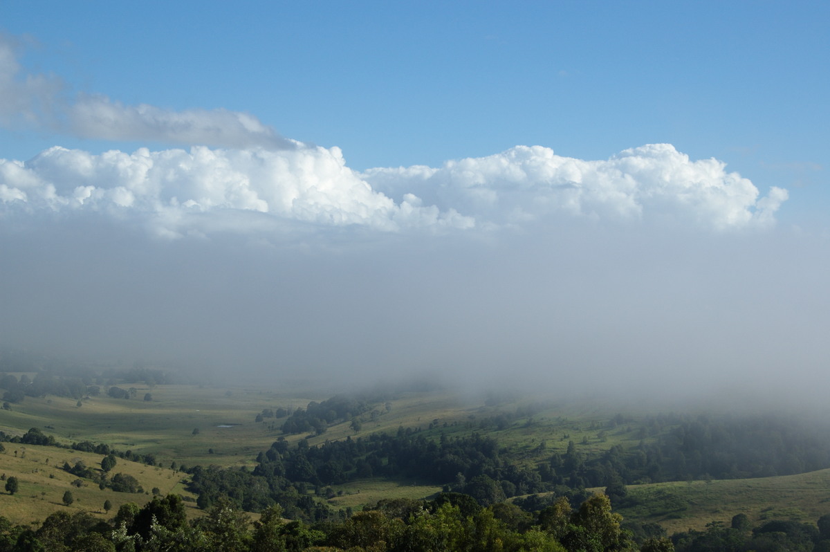 fogmist fog_mist_frost : McLeans Ridges, NSW   15 March 2008