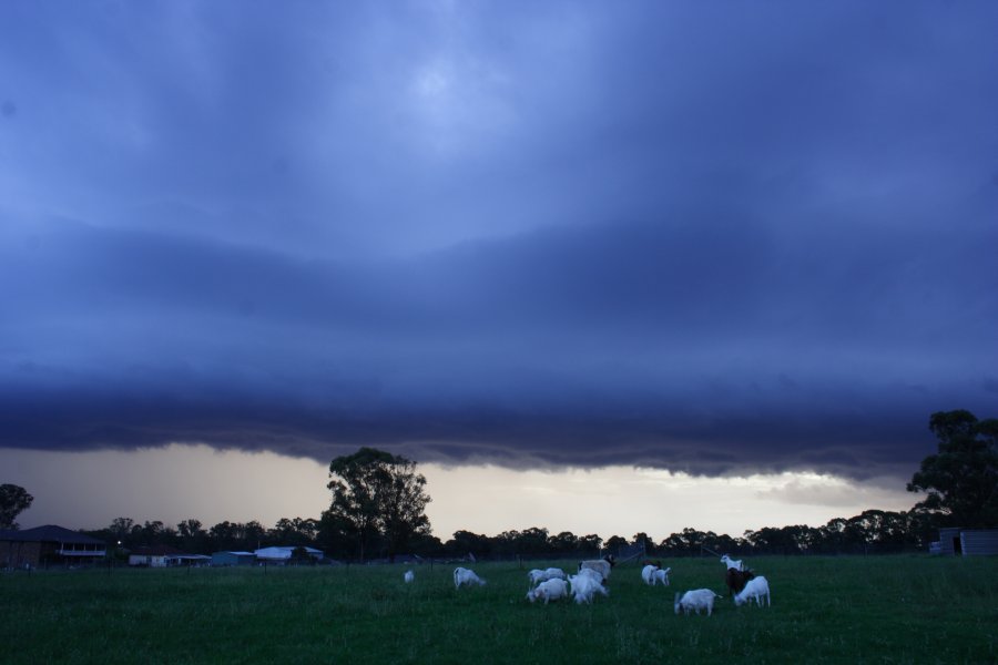 shelfcloud shelf_cloud : Schofields, NSW   24 March 2008