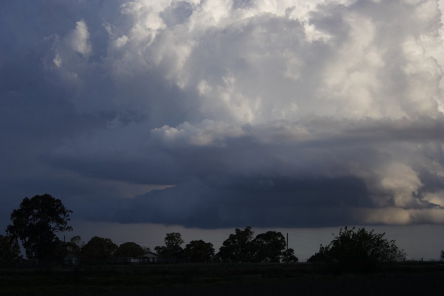 inflowband thunderstorm_inflow_band : Schofields, NSW   29 March 2008