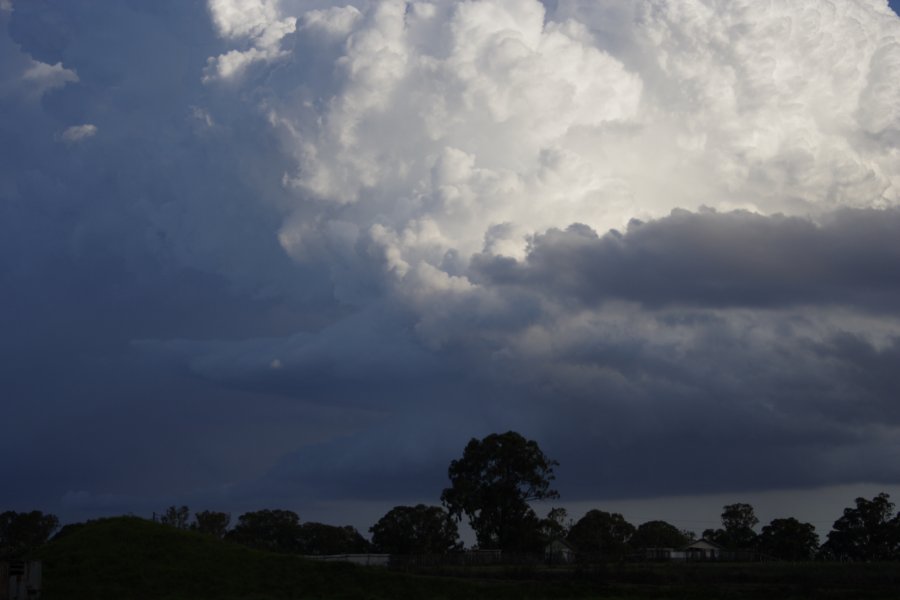 inflowband thunderstorm_inflow_band : Schofields, NSW   29 March 2008