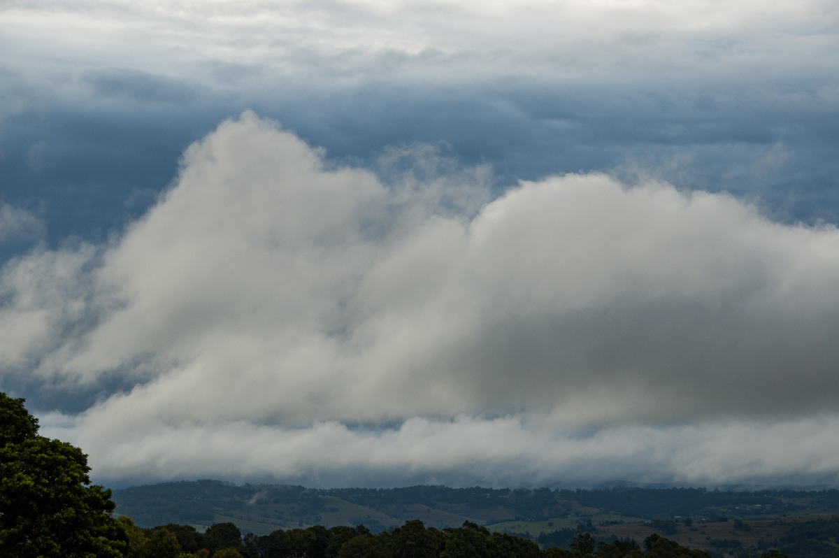 stratus stratus_cloud : McLeans Ridges, NSW   9 April 2008