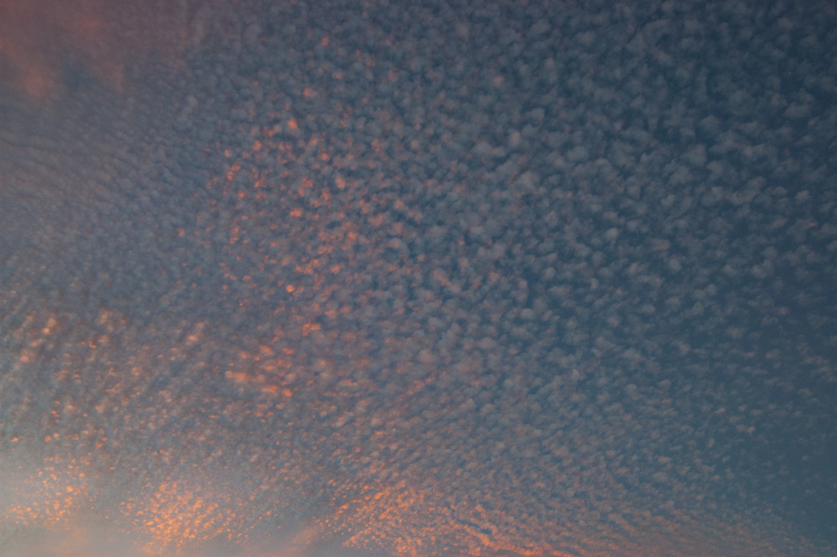 cirrocumulus cirrocumulus_cloud : McLeans Ridges, NSW   1 May 2008