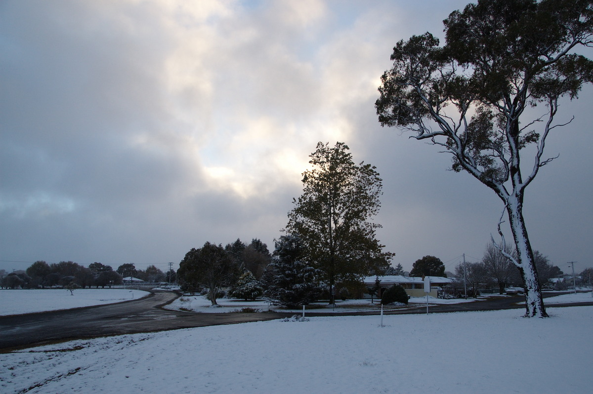 snow snow_pictures : Guyra, NSW   18 May 2008