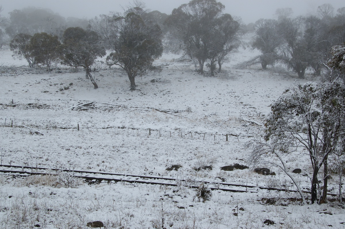 snow snow_pictures : Ben Lomond, NSW   18 May 2008