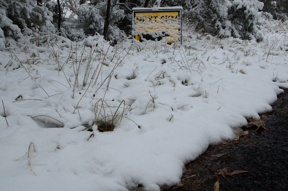 snow snow_pictures : Ben Lomond, NSW   18 May 2008