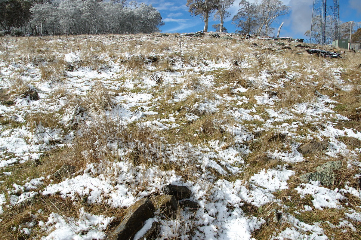 snow snow_pictures : Ben Lomond, NSW   28 July 2008