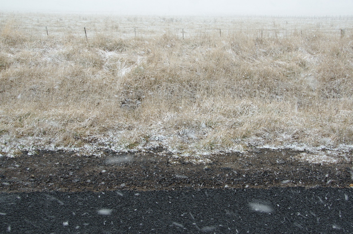 snow snow_pictures : Ben Lomond, NSW   28 July 2008