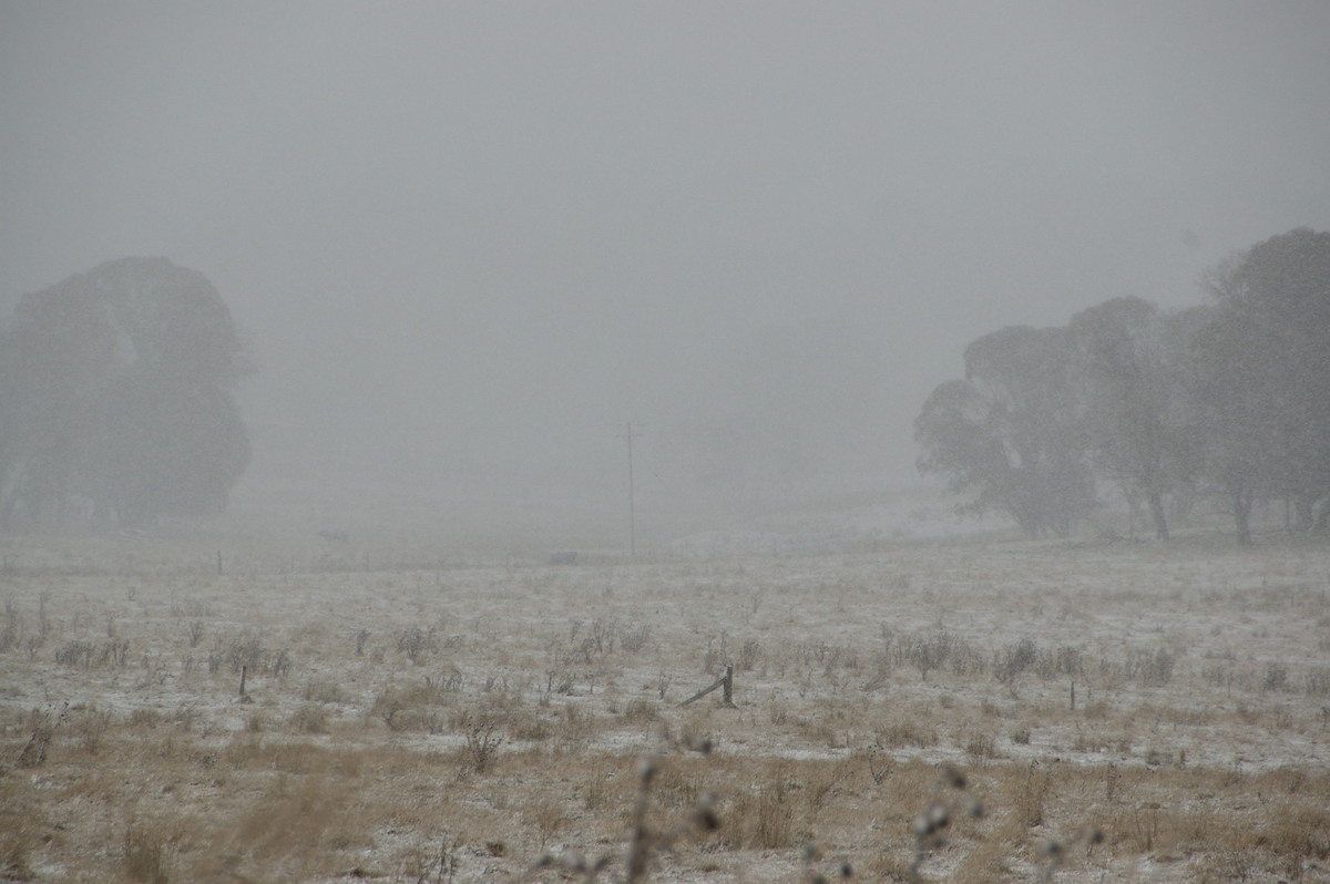 snow snow_pictures : Ben Lomond, NSW   28 July 2008