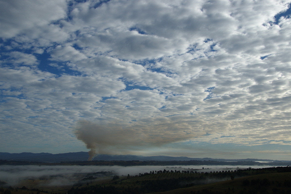 altocumulus altocumulus_cloud : McLeans Ridges, NSW   4 August 2008