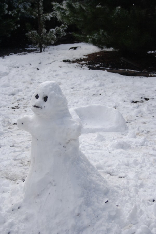 snow snow_pictures : S of Shooters Hill, NSW   10 August 2008