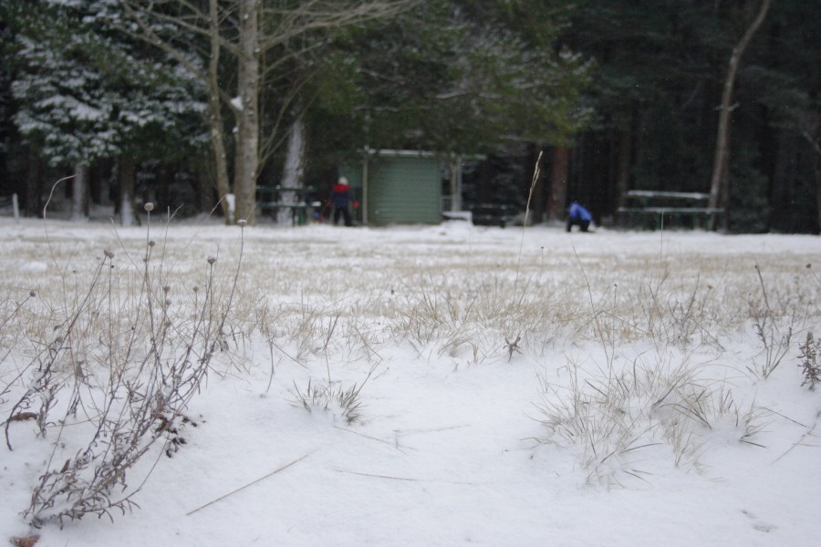 snow snow_pictures : Mt Bindo, NSW   10 August 2008