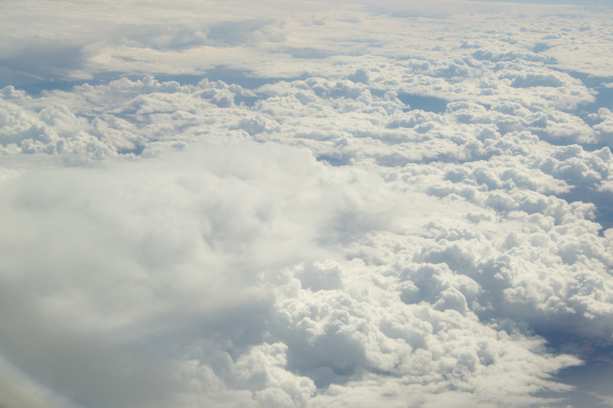 cumulus congestus : South Australia   21 August 2008