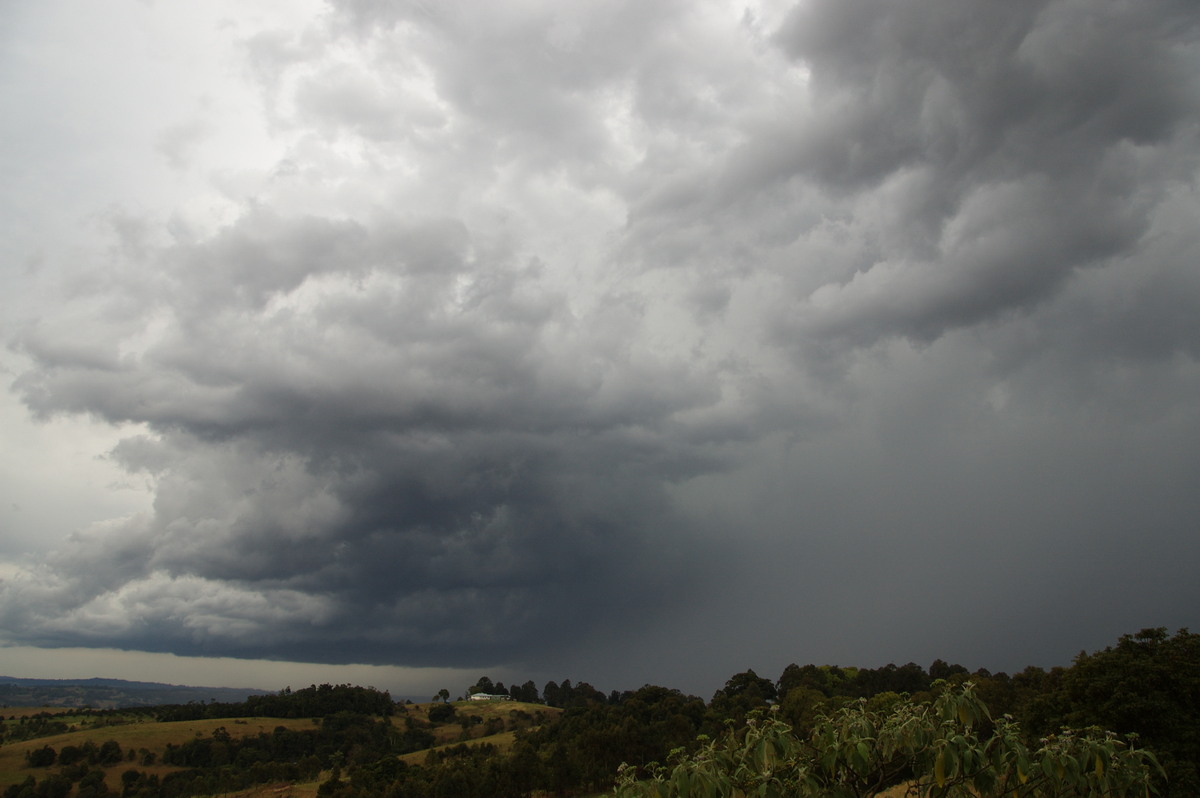 raincascade precipitation_cascade : McLeans Ridges, NSW   27 August 2008