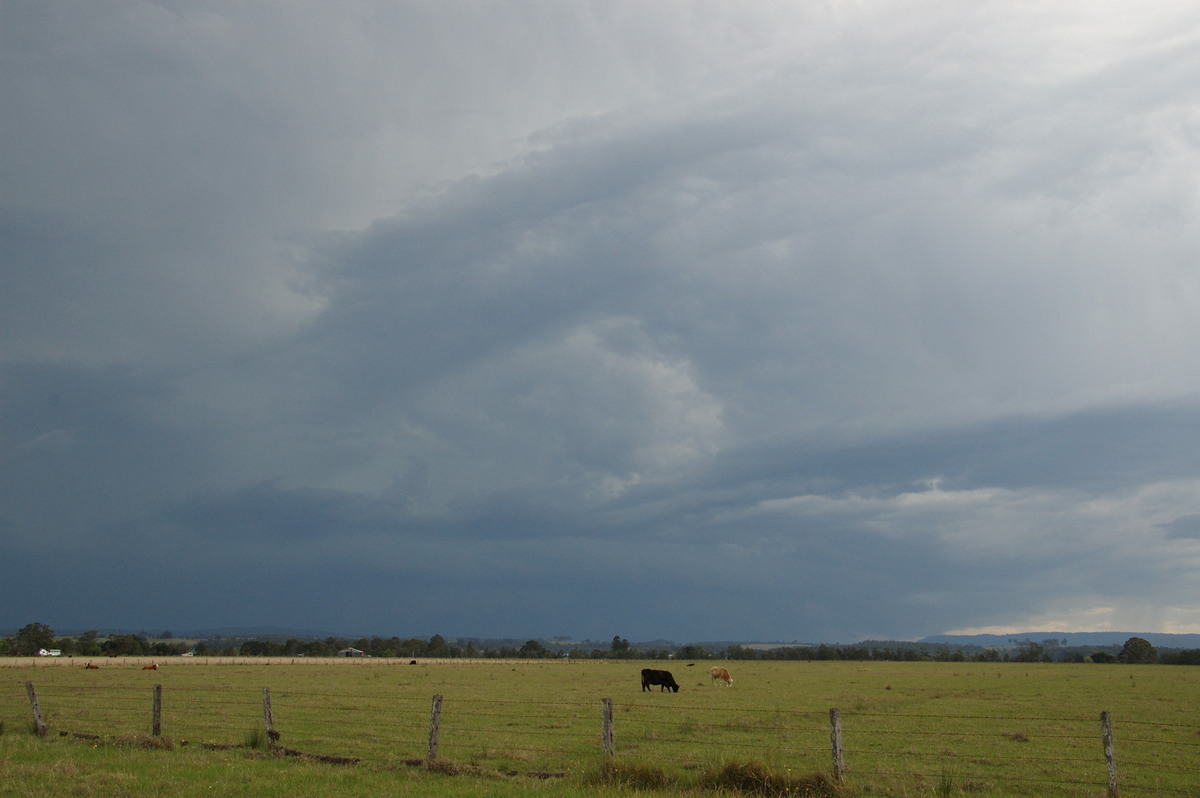 cumulonimbus thunderstorm_base : N of Casino, NSW   21 September 2008