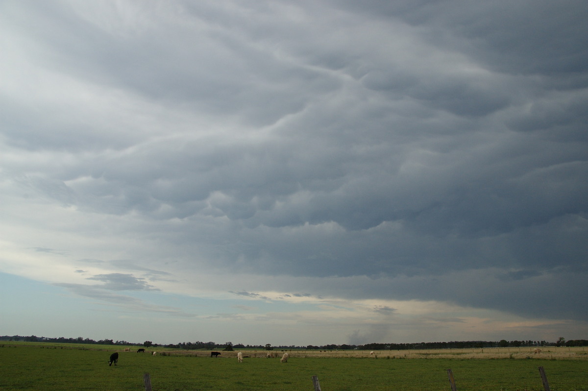 mammatus mammatus_cloud : N of Casino, NSW   21 September 2008