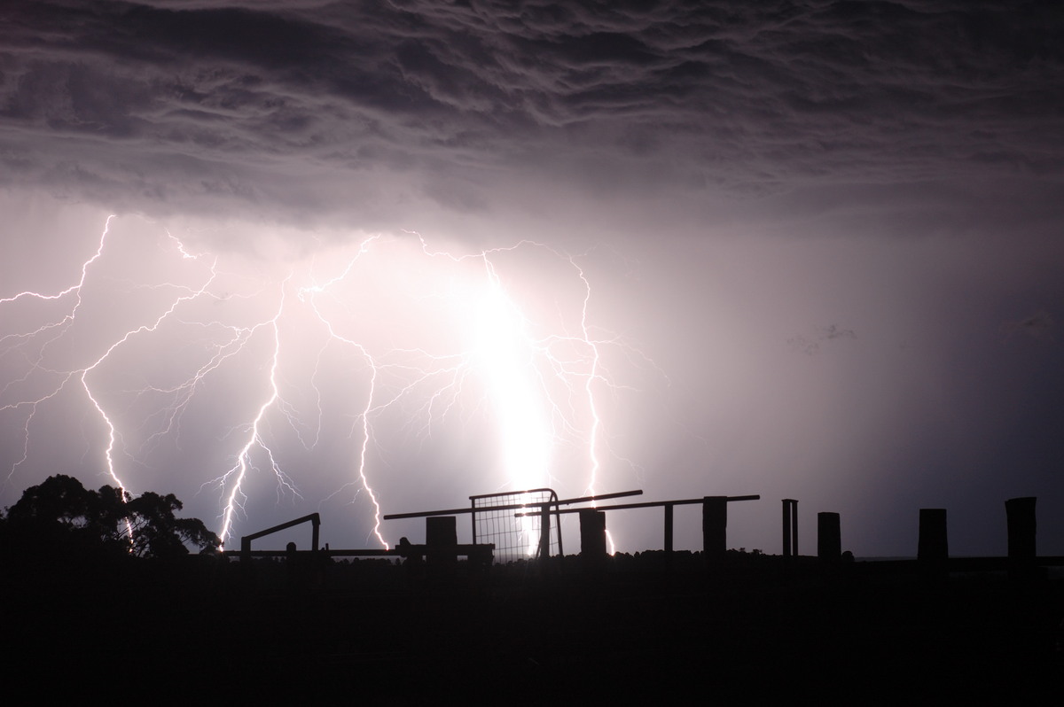 lightning lightning_bolts : Tregeagle, NSW   21 September 2008