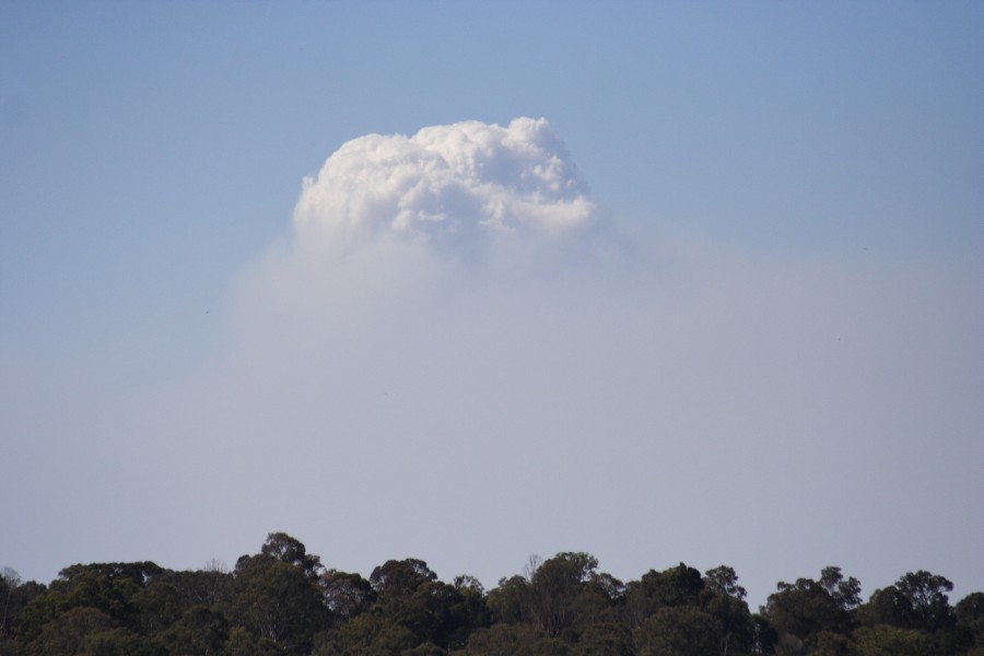 bushfire wild_fire : Schofields, NSW   1 October 2008