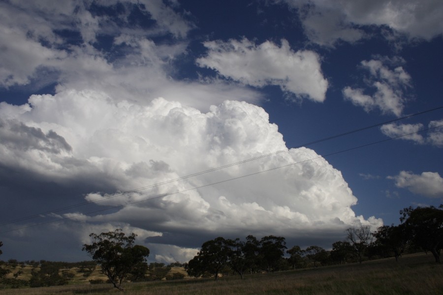 inflowband thunderstorm_inflow_band : E of Merriwa, NSW   5 October 2008