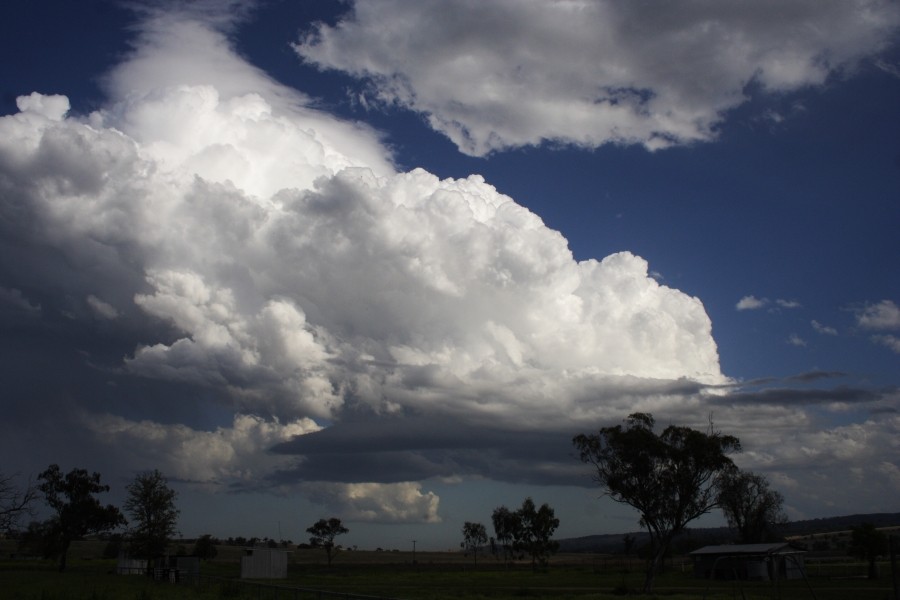 thunderstorm cumulonimbus_incus : between Scone and Merriwa, NSW   5 October 2008