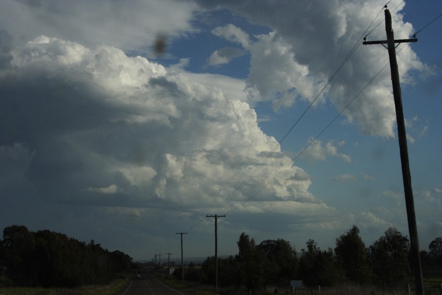 pileus pileus_cap_cloud : Scone, NSW   5 October 2008