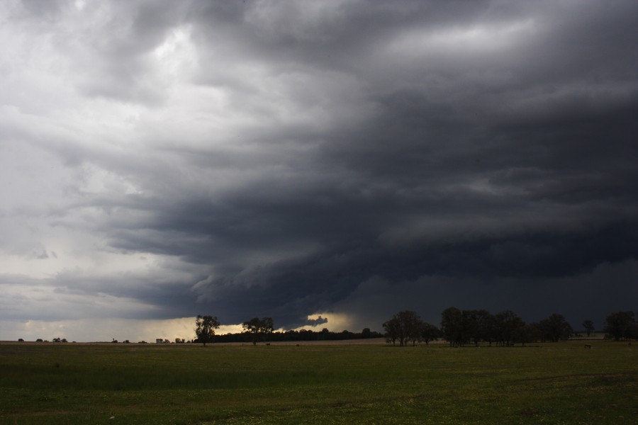 shelfcloud shelf_cloud : Dunedoo, NSW   10 October 2008