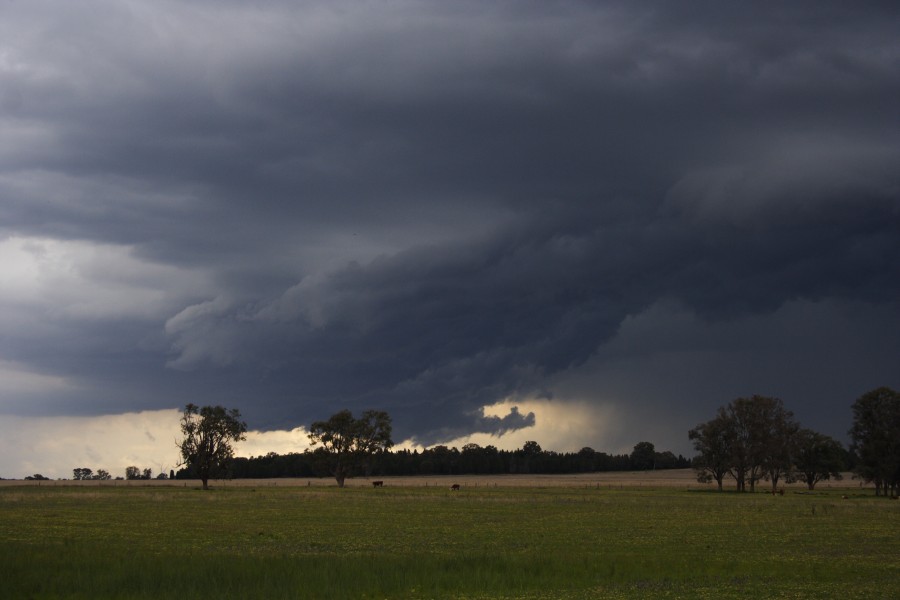 shelfcloud shelf_cloud : Dunedoo, NSW   10 October 2008