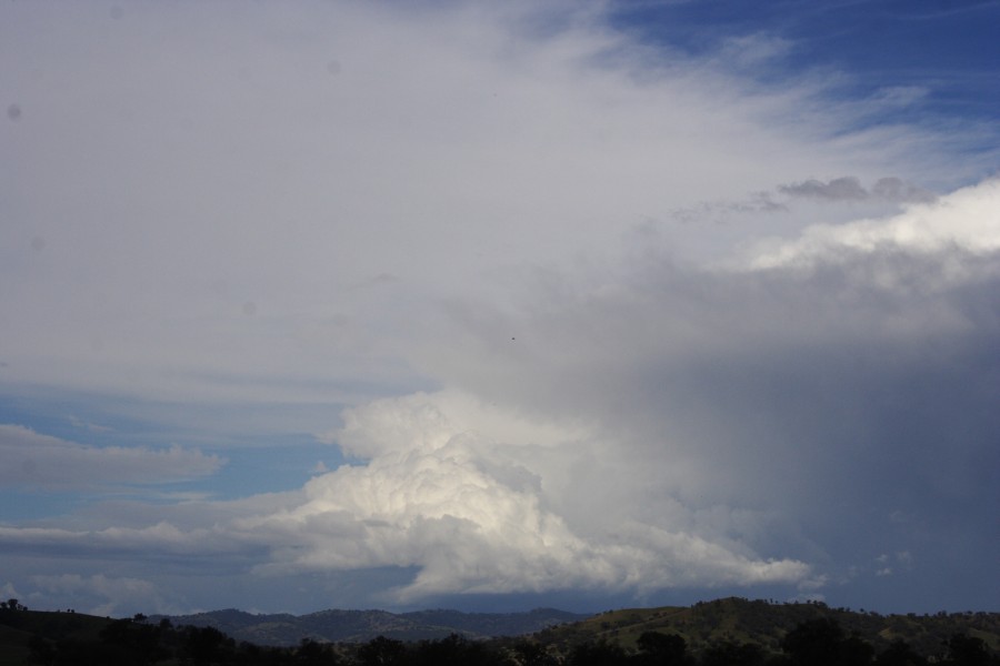 thunderstorm cumulonimbus_incus : W of Manilla, NSW   14 October 2008