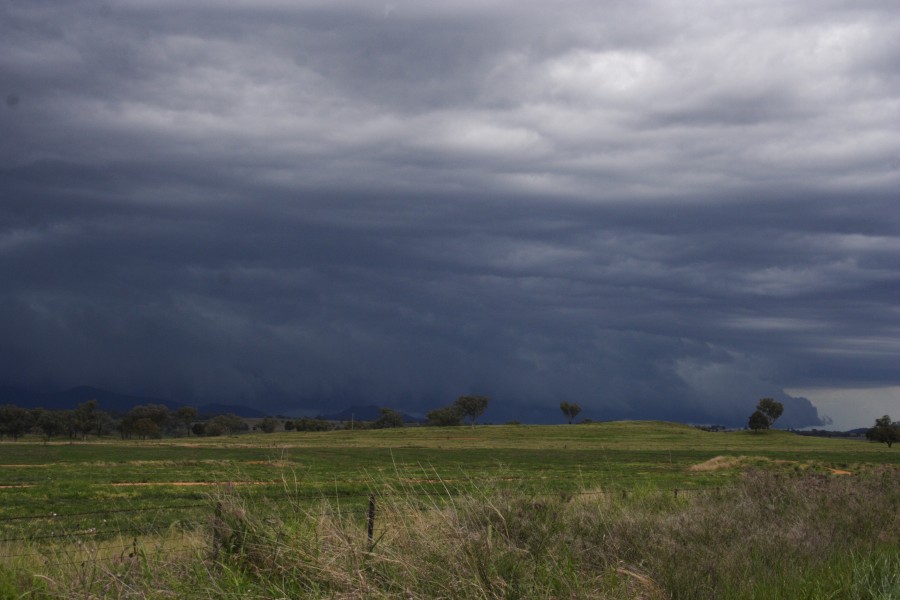 shelfcloud shelf_cloud : W of Manilla, NSW   14 October 2008