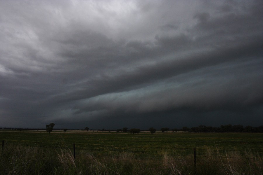 cumulonimbus thunderstorm_base : W of Manilla, NSW   14 October 2008