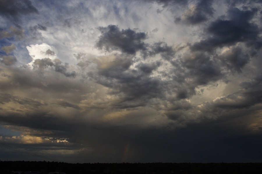 raincascade precipitation_cascade : Schofields, NSW   19 October 2008