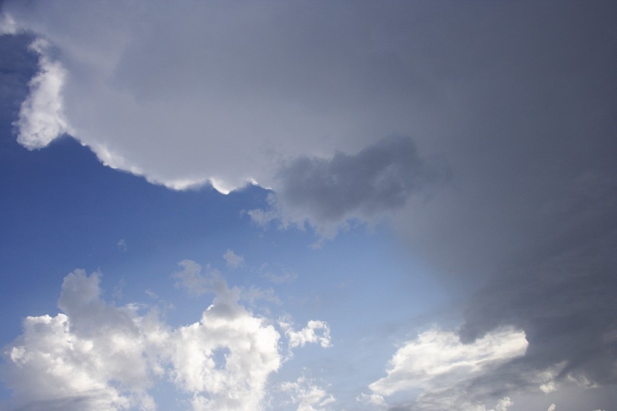 cumulonimbus thunderstorm_base : Kurrajong, NSW   20 October 2008