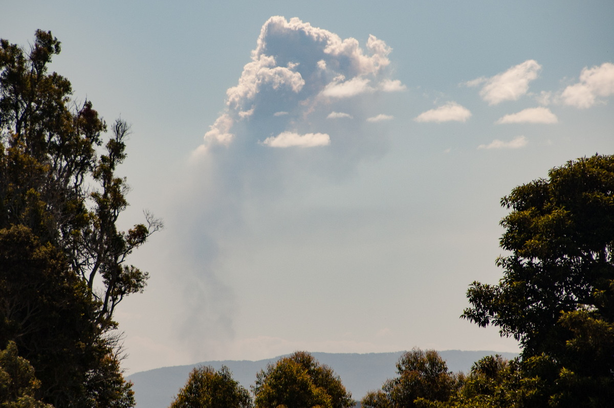 cumulus pyrocumulus : McLeans Ridges, NSW   20 October 2008