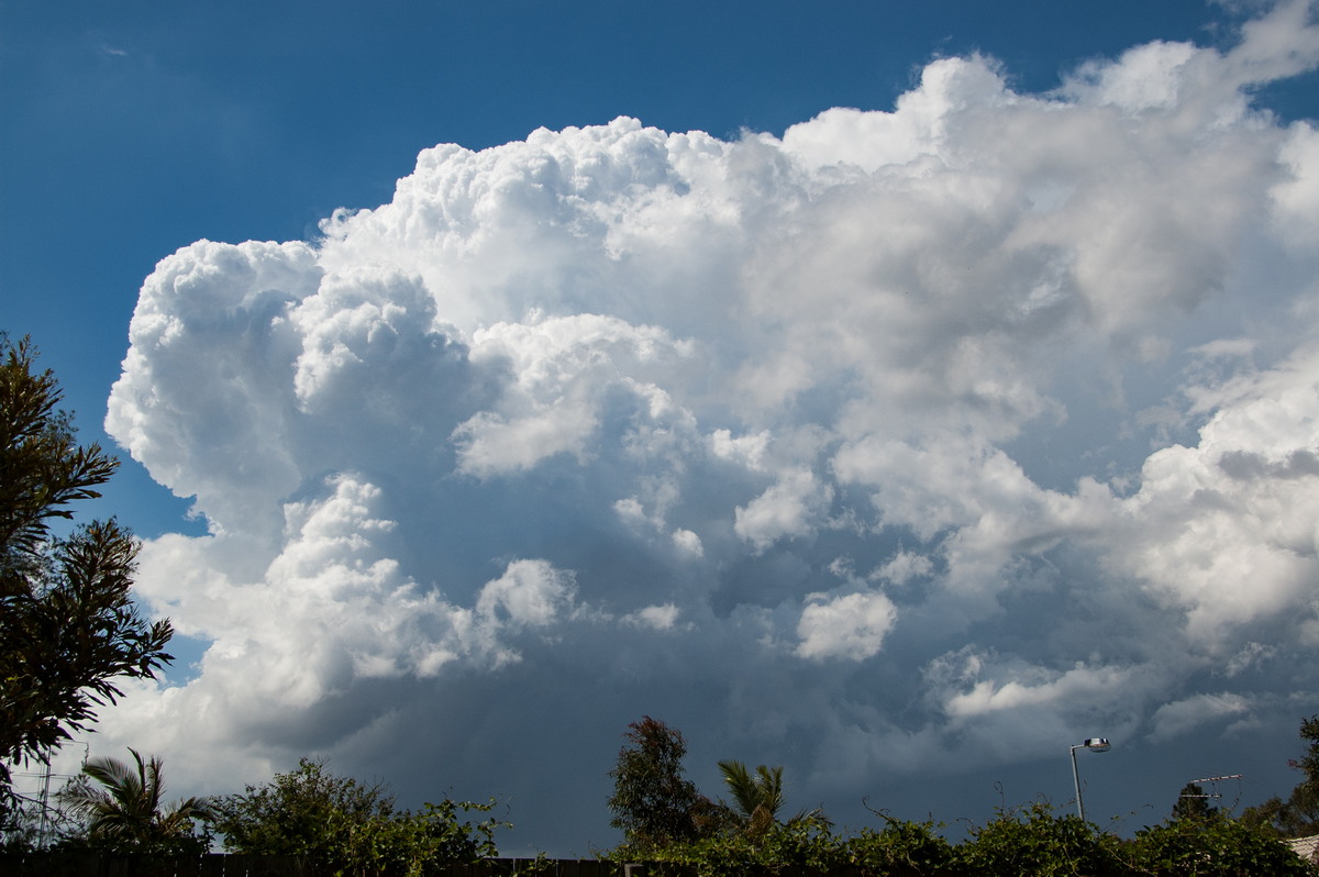 updraft thunderstorm_updrafts : Heritage Park, QLD   25 October 2008